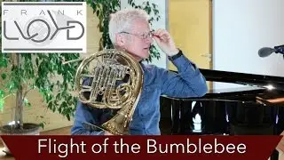 French Horn: 