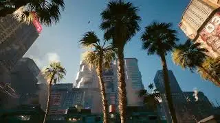Cyberpunk 2077 RTX 3080  RT OVERDRIVE 1080P Benchmark DLSS Performace / Balanced / Quality