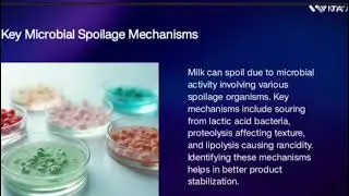 UNDESIRABLE FERMENTATION OF DAIRY PRODUCTS