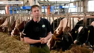 BouMatic melkrobots bij De Morshoeve - fam. Stamsnijder te Enter (Loohuis Melkveehouderijtechniek)