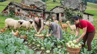 TIMELAPSE -- Sold Out in an Hour! Harvest Rare Kohlrabi & Cooking Nourishing Winter Dishes