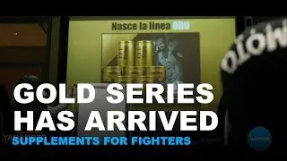 Gold Series: a new generation of supplements designed for fighters