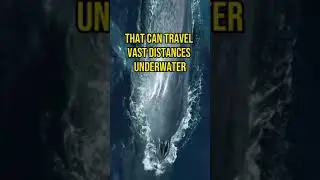 Gentle Giants of the Ocean: Discovering the Blue Whale #shorts