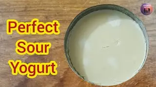 3 Ingredients Only Perfect Sour Yogurt Recipe | Homemade Sour Yogurt