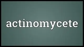 Actinomycete Meaning