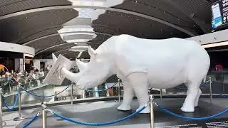 Yatra from Malta to Canada samma ko 😍