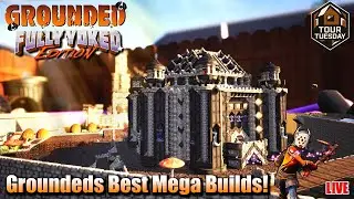 You&rsquo;ve Never Seen Grounded Bases Like THESE | Tour Tuesday Live