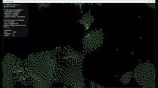 Boids C++ Project