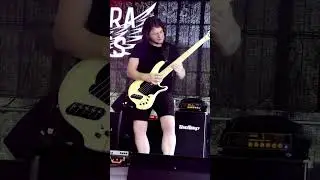 Philipp Rehm | Tapped Bass - Barbora Soares & Band #BassTapping #basssolo #FestivalBand