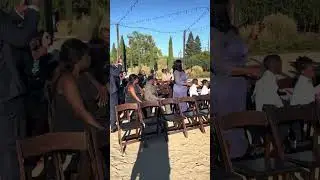 Live Wedding Music by Classic Vybe Quartet | From 