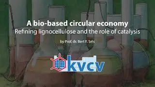 A bio-based circular economy: refining lignocellulose and the role of catalysis