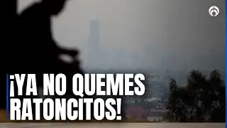 &iquest;Hay Hoy No Circula? Sigue contingencia ambiental en CDMX