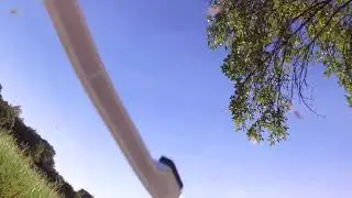 Phantom 3 Drone Crash