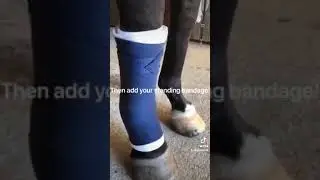 Big Dee's Tack and Vet Supply Country Pride Standing Bandages and No Bows