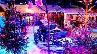 Christmas at the National Forest Adventure Farm
