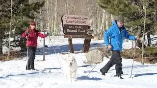 Snowshoe & Cross Country Ski In Colorado