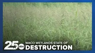 Lake Waco Wetlands in state of destruction as the area celebrates its 20th anniversary