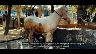 JAAN BHAI - Brothers For Life | Nihang Singh Documentary