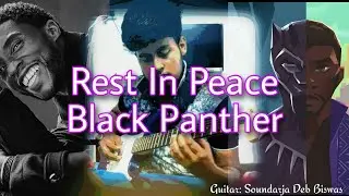 Chadwick Boseman | Black Panther | Sad Guitar melody 💔💔💔 REST IN POWER KING