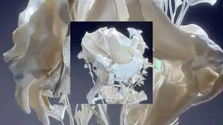 Саша Пучкова - Sacred Bones. Dry Bone.