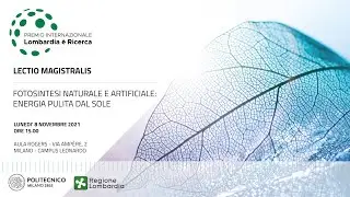 Fotosintesi naturale e artificiale: energia pulita dal sole