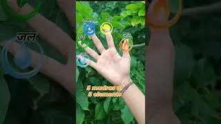 पंच तत्वों की पांच मुद्रा #mudra #panchtatva #elements #spirituality #yogalife #explore #shorts