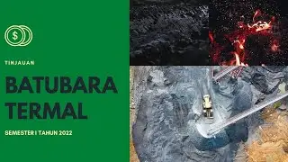 Selayang Pandang Pasar Batubara Termal || Thermal Coal || Semester 1 Tahun 2022