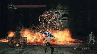 lets solve all the problems in drangleic