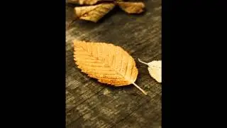 HalleluYah - Sfintenie