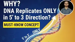 Why DNA Replication Only proceeds in 5' to 3' prime Direction| For CSIR-NET, DBT, ICMR Exams |
