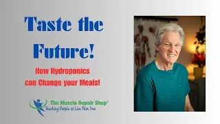 Taste the Future: How Hydroponics Can Change Your Meals!