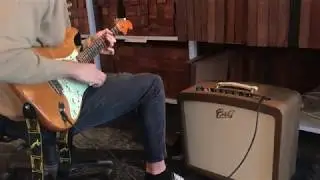 1965 Stratocaster through the B&G Prototype amp