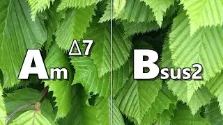 Am maj7 to Bsus2 Backing Track