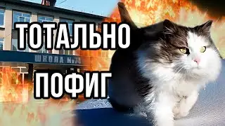 ЗАБЕЙ НА ШКОЛУ, если сдаешь ЕГЭ, и вот почему...