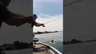 Throwback &mdash; 4 lb Smallmouth Airborne