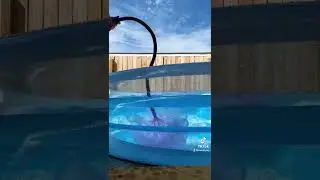 Pro tip: fill your pool up with water balloons