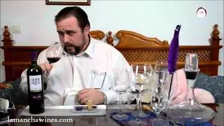 videocata de Finca Los Azares Petit Verdot 09 de Bodegas Ayuso D O  La Mancha
