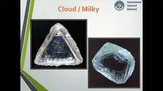 Rough Diamond inclusions | ISD - International School of Diamond | Rough Diamond