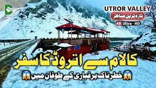 Utror Valley Latest Snowfall Today | Live Snowfall In Utror Swat Valley | KALAM SNOW
