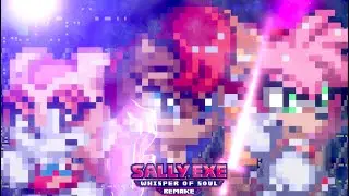 Another 3 duos Endings in one video!(Sally.Exe Whisper of Soul Remake-Cancelled) (Last Gameplay)