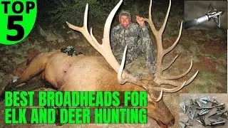 Best Broadheads for Elk and Deer Hunting (Latest)