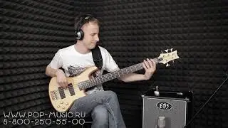 Бас гитара SCHECTER STILETTO CUSTOM 5