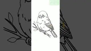 how to draw a sparrow bird - ser&ccedil;e kuşu nasıl &ccedil;izilir
