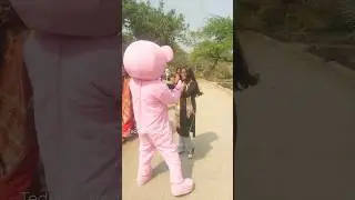 Pink Teddy Viral Video #shortsfeed #viral #ytshorts #trandingshorts #viralreels #shorts #short