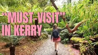 Derreen Gardens Walking Tour - Near Kenmare, Beara Peninsula, County Kerry Ireland Guide