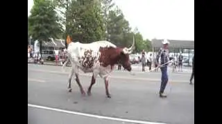 Downtown Franklin Rodeo Parade 2012 part 2