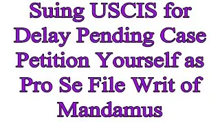 Suing USCIS for Delay Pending Case Petition Yourself as Pro Se File Writ of Mandamus Lawsuit