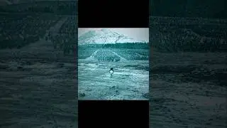 The last Viking king fought his final battle! #series #edi..  #shorts #movie #editing #movieediting