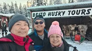 D2 Norway 🇧🇻 Adventure. Beito Husky Tours and Stegastein viewpoint. #subscribers 