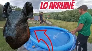 ¡Cocinamos cabeza de cerdo y subimos una alberca al techo en La Casita del Bosque!